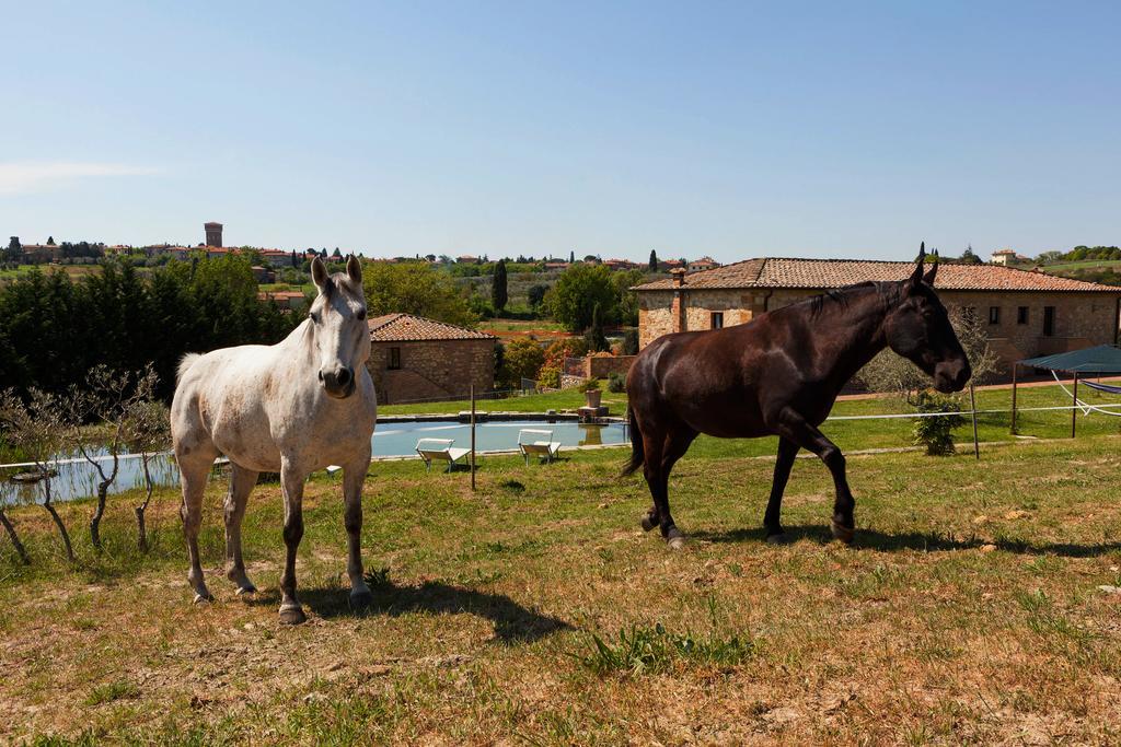 פיינצה Agriturismo La Collina מראה חיצוני תמונה