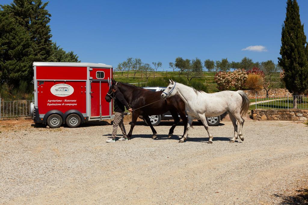 פיינצה Agriturismo La Collina מראה חיצוני תמונה